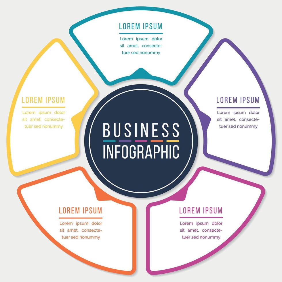 Infographic design circle 5 steps or elements business information colored template vector