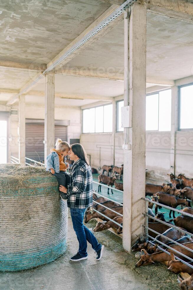 Mom touches her forehead with a little girl sitting on a haystack near the goat pens photo