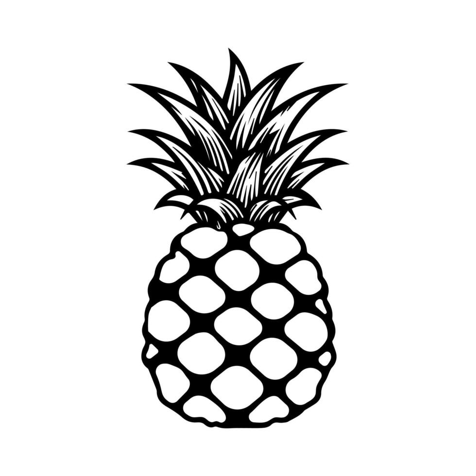 illustration of pineapple hand drawn in doodle style, element, clipart, fruit vector