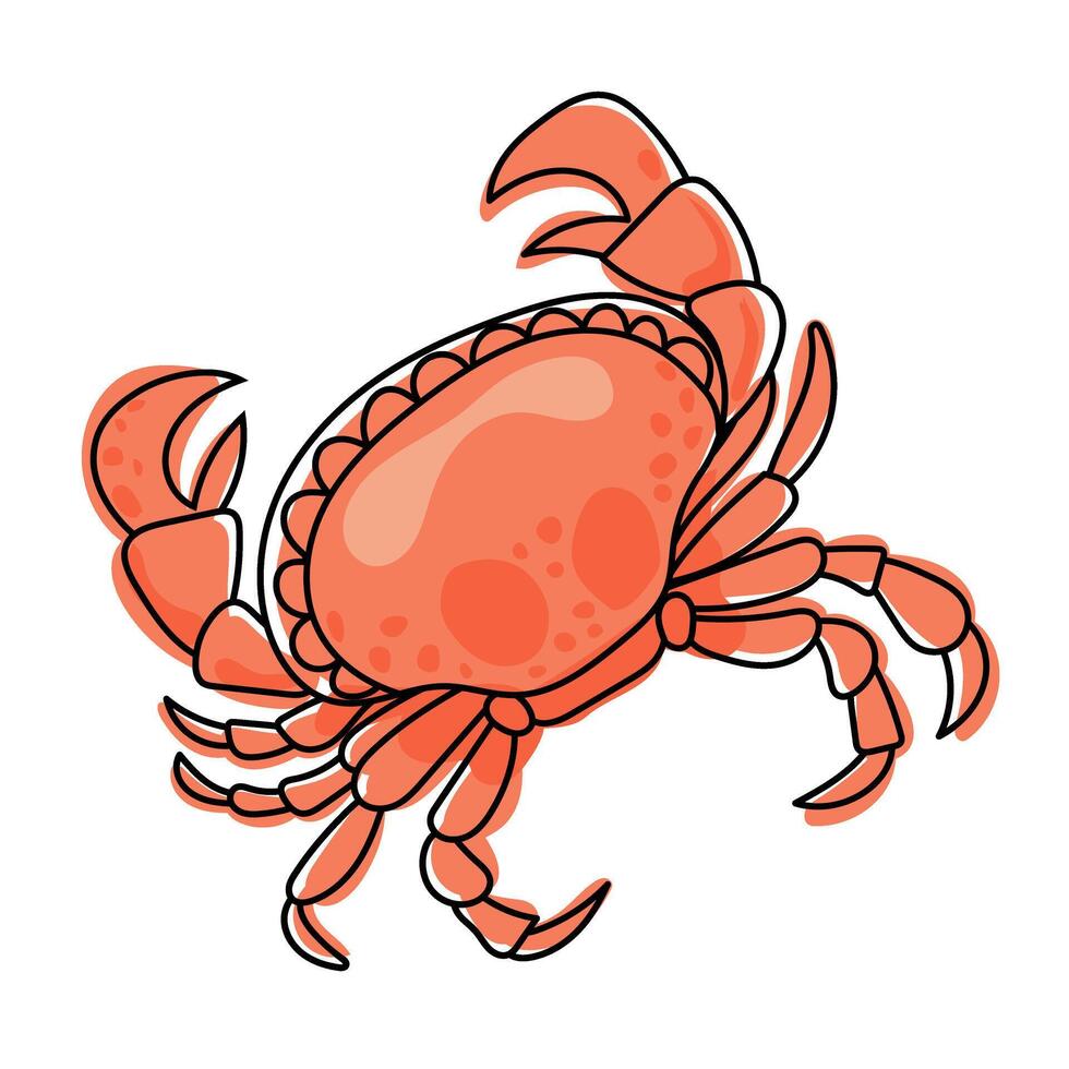 Crab isolated on transparent background. Crab illustration vector