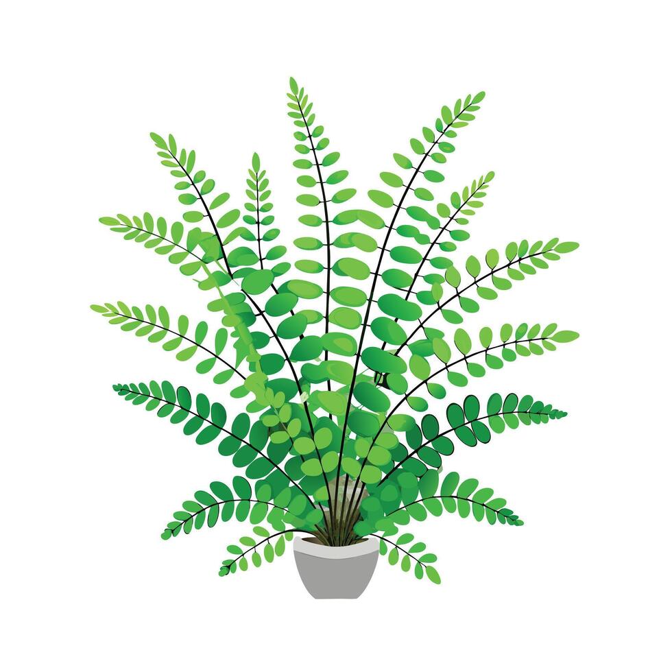 Beautiful Flowerpot Houseplant Illustration vector