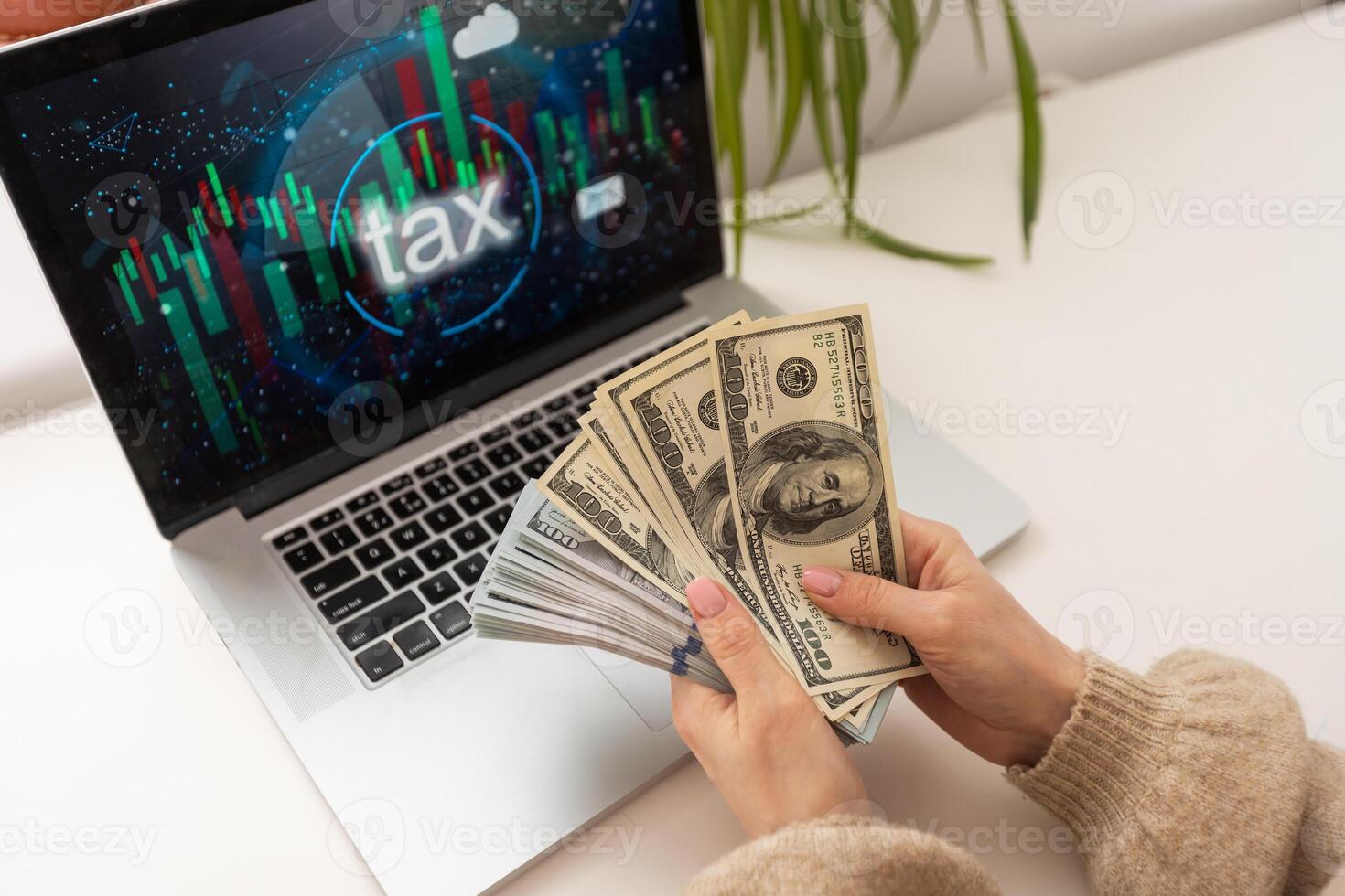 Close up rear view young woman using laptop and money, checking financial documents, sitting at table at home, computer screen with diagrams, photo