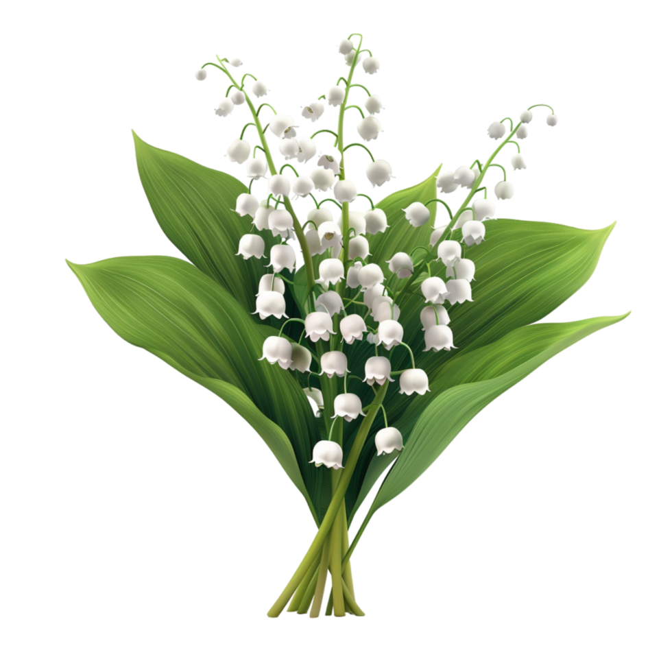 Generated Ai Lilies of the valley blooms png