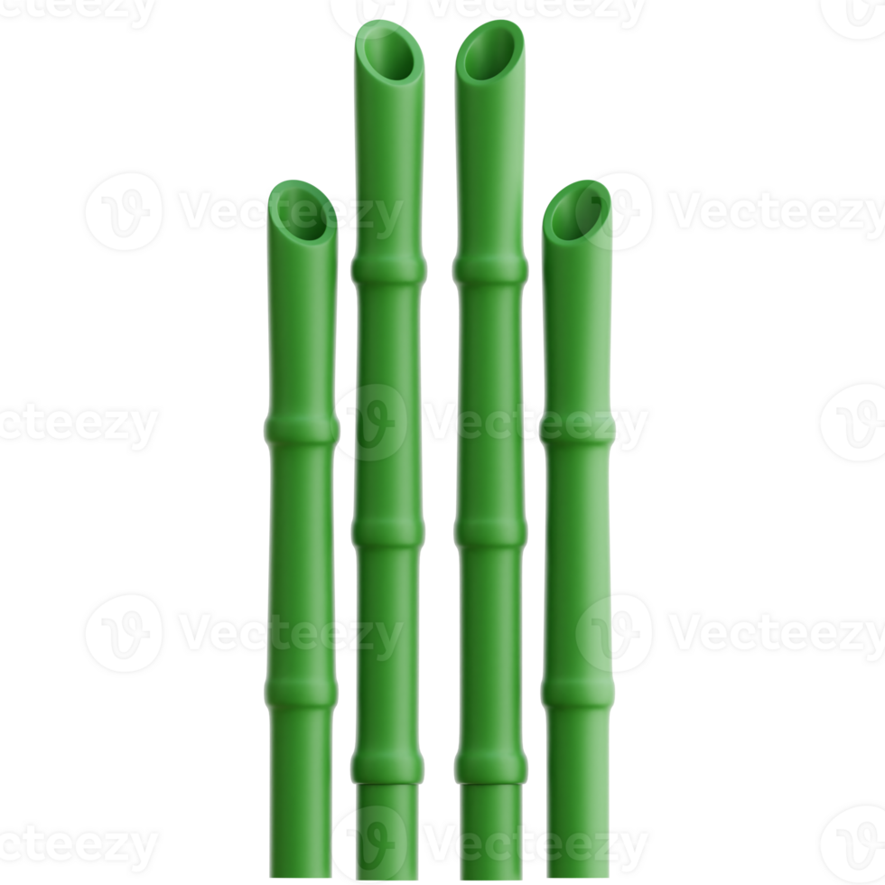 Bamboo 3d Illustration png