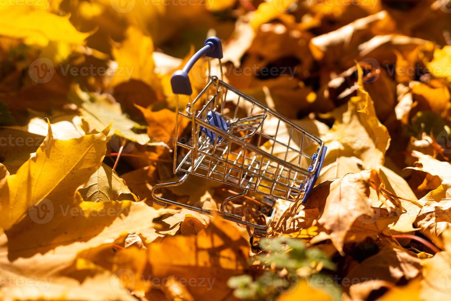 Autumn sale, Black Friday. Mini toy Grocery Shopping trolley cart with fall leaves on autumn nature background. photo