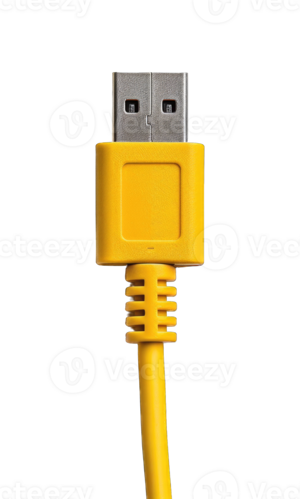 USB type A cable connector isolated on transparent background cutout png
