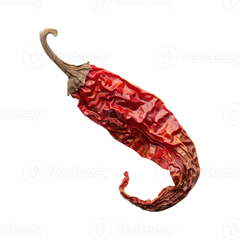 Dry red chilli isolated on transparent background cutout png