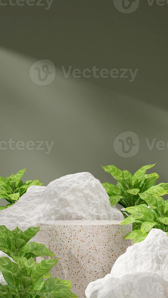 3D render blank space of terrazzo texture podium in portrait with chinese evergreen and white rocks photo