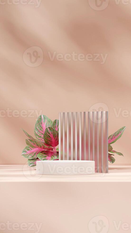 frosted glass and red chinese evergreen 3D image render blank space white round podium in portrait photo