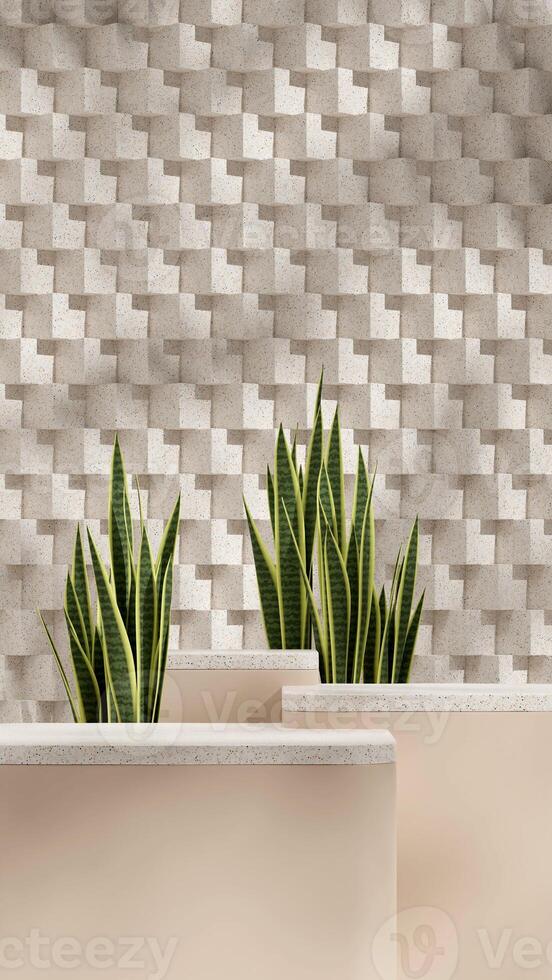 3d rendering mockup template of podium terrazzo texture block in portrait with snake plant photo