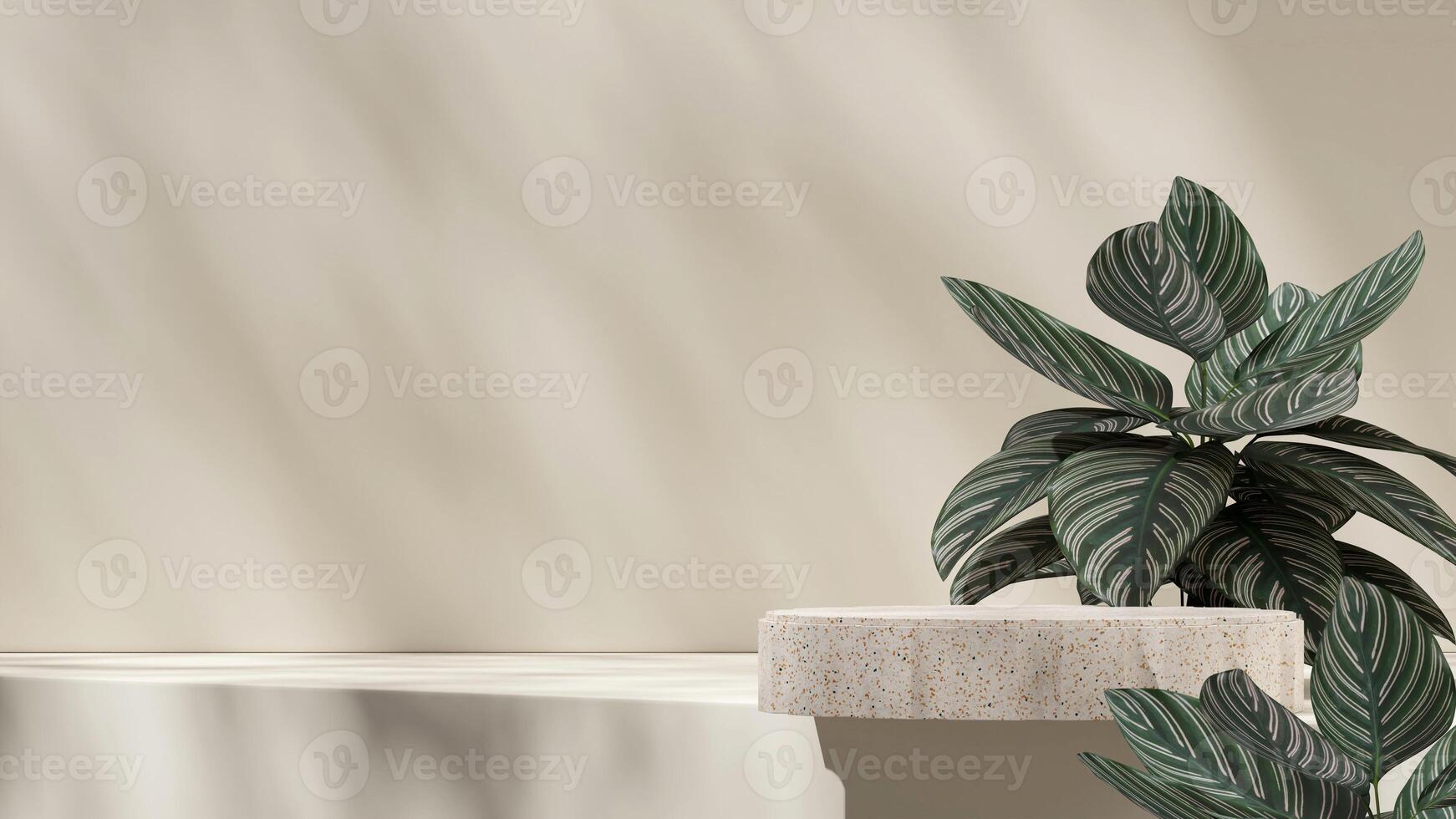 3D image render mockup space of terrazzo texture podium in landscape with pink stripe calathea photo