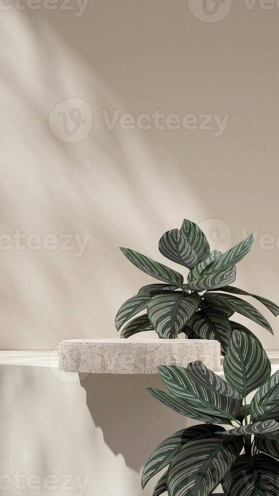 3D image render mockup space of terrazzo texture podium in portrait with pink stripe calathea photo