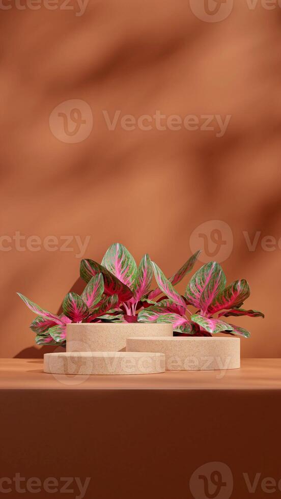 Brown terrazzo color texture podium 3d render mockup in portrait with aglaonema red plant photo