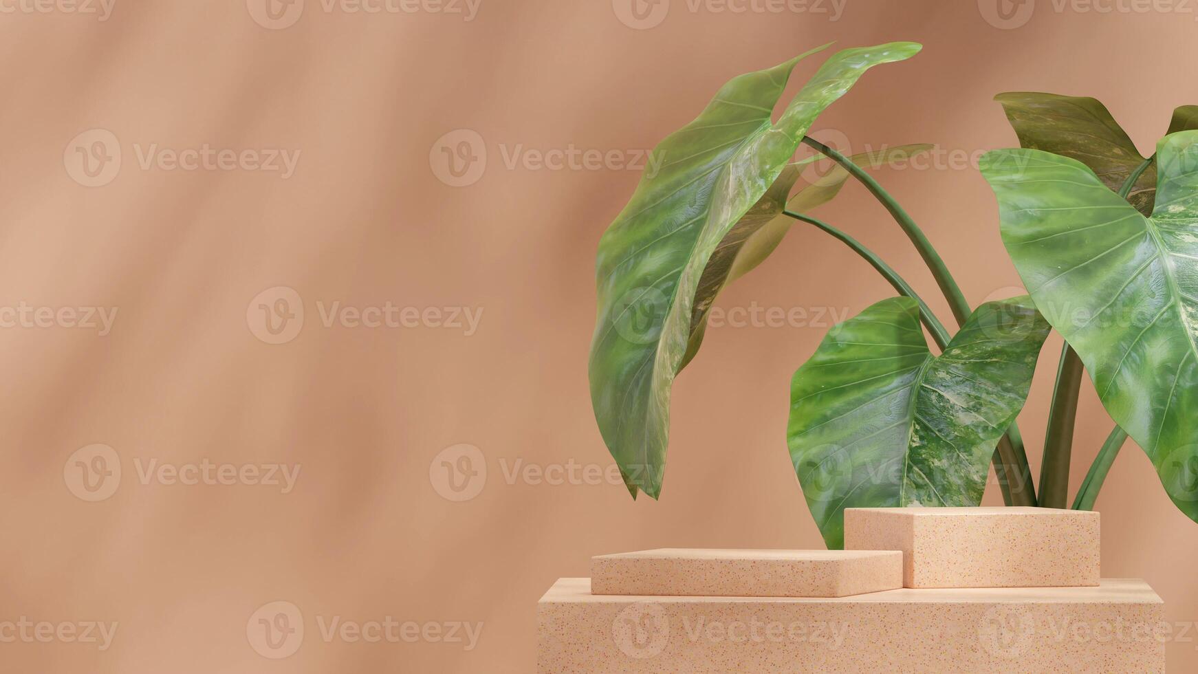 Brown terrazzo texture podium in landscape with green alocasia house plant 3d rendering mockup space photo