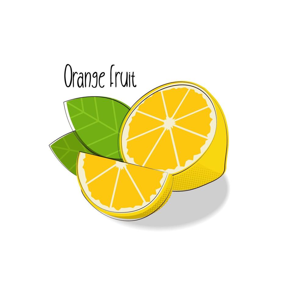isolated orange fruit cartoon simple vector