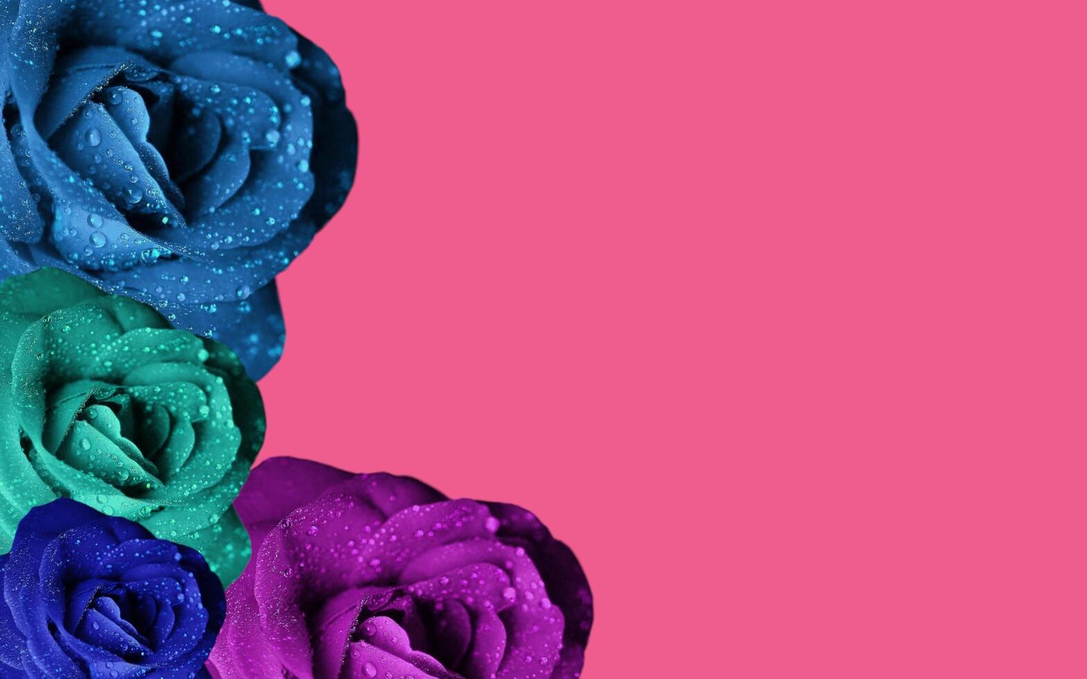 Bouquet of roses on a banner. Copy space for text on Valentine's Day. Black floral background. photo