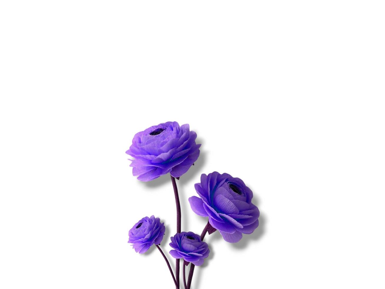 Abstract beautiful spring rose flowers on copy space background. Rose flowers on copy space frame. photo