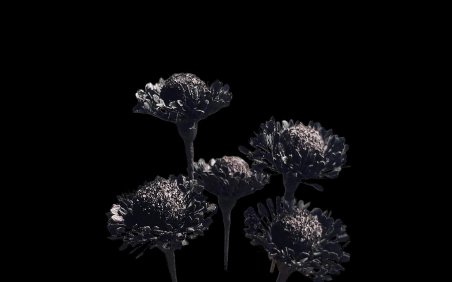 Abstract beautiful blooming flowers with copy space background. Flowers on frame copy space. photo