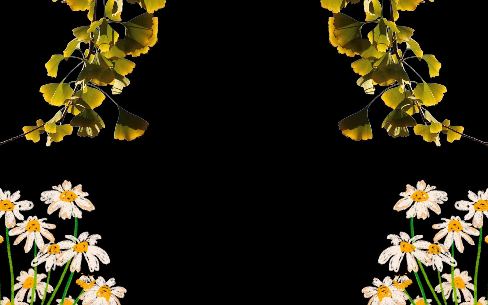 natural leaves on blank background for text. photo