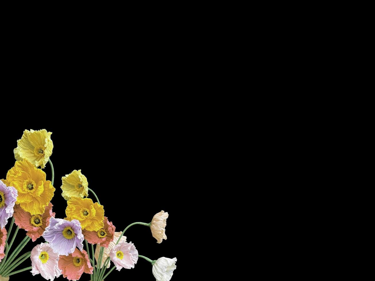 Beautiful colorful floral abstract with copy space background. Colorful flowers on copy space frame. photo