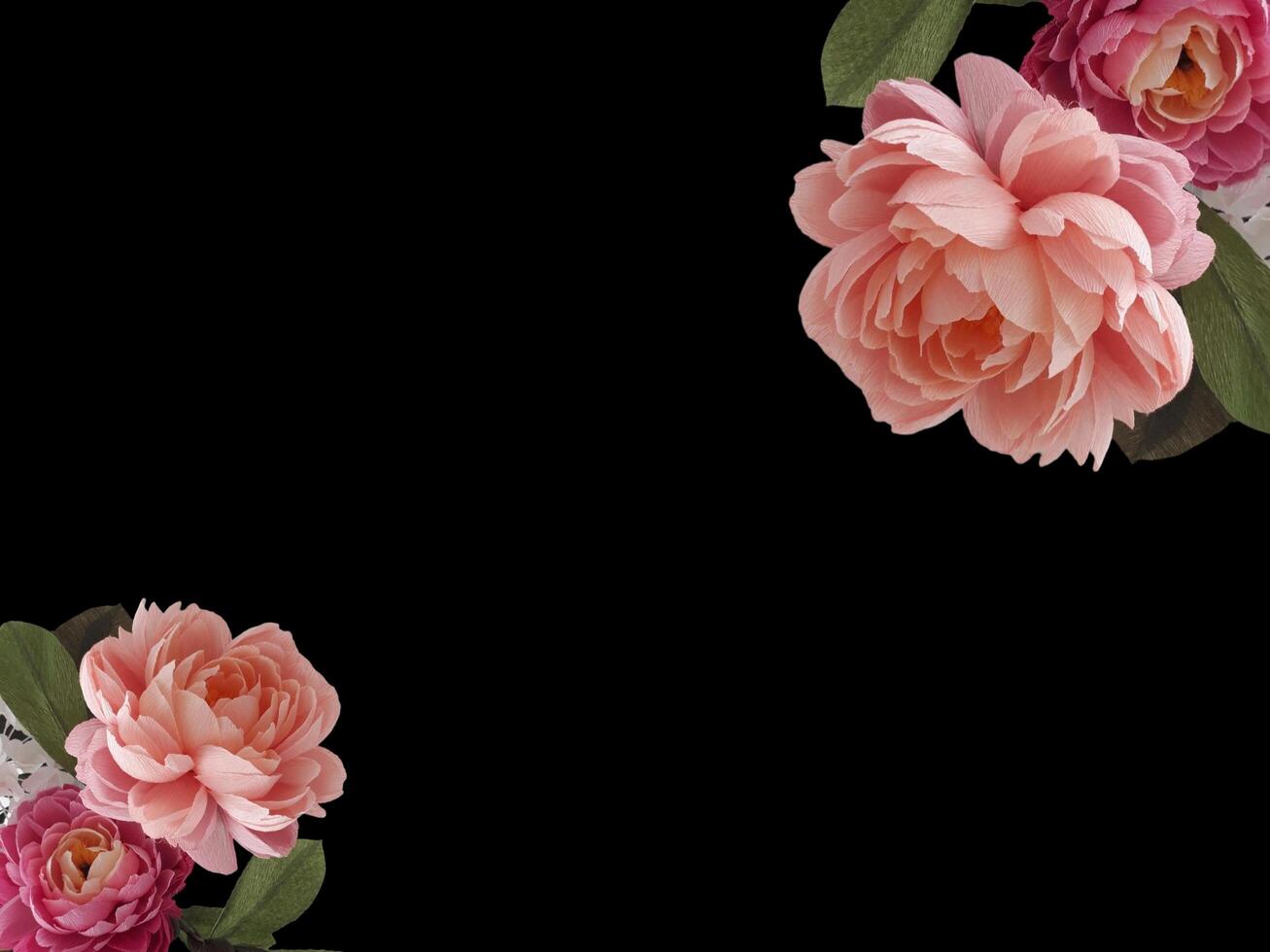 Abstract beautiful blooming pink flowers with copy space background. Pink flowers on copy space frame. photo