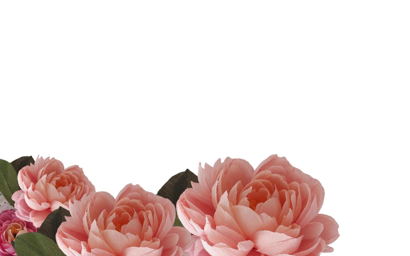 Abstract beautiful blooming pink rose flower with copy space background. Pink rose flower on copy space frame. photo
