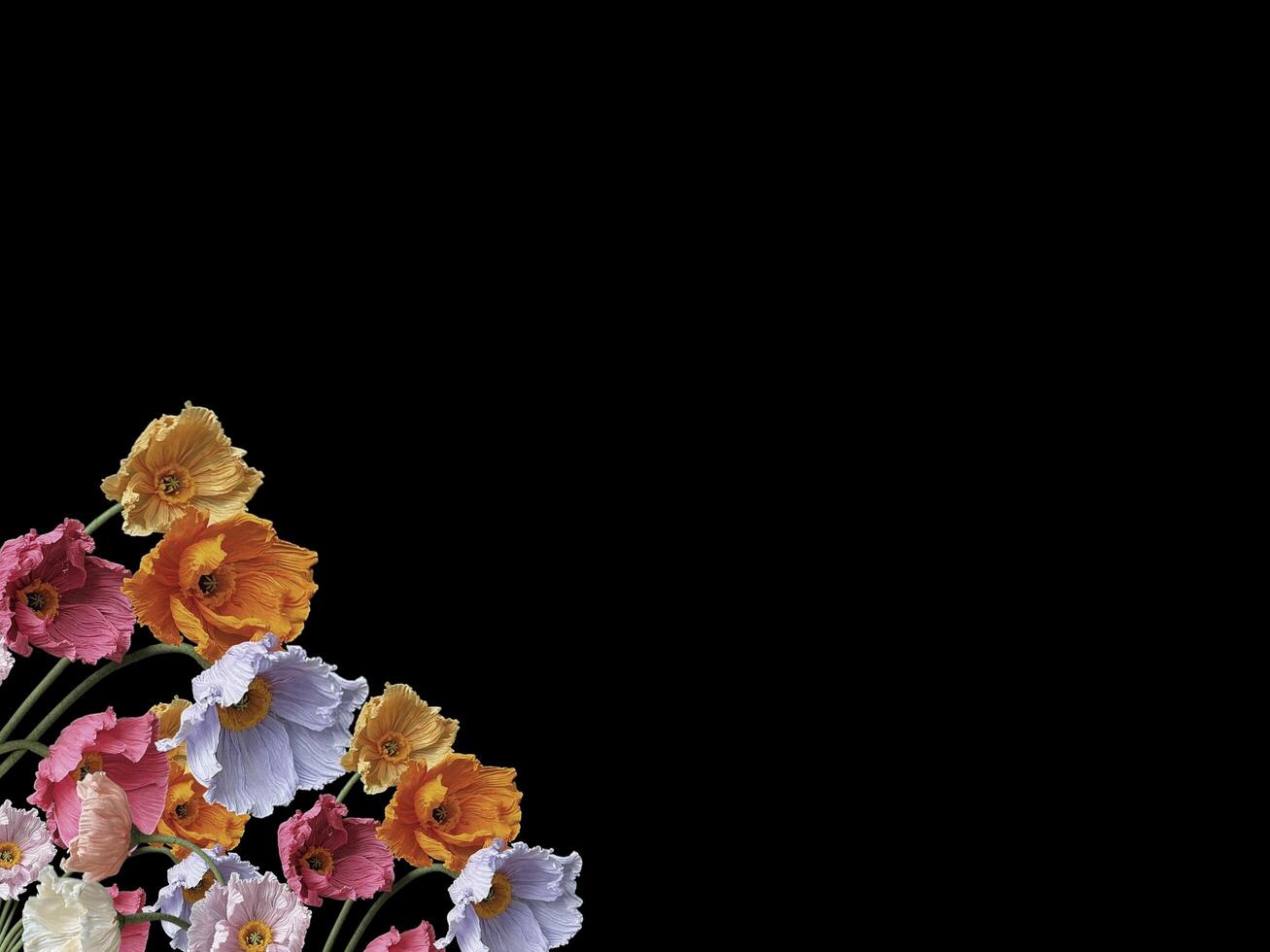Beautiful colorful floral abstract with copy space background. Colorful flowers on copy space frame. photo