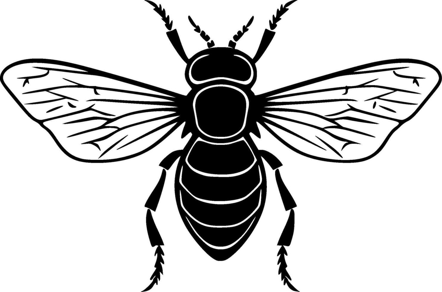 Fly - Black and White Isolated Icon - illustration vector