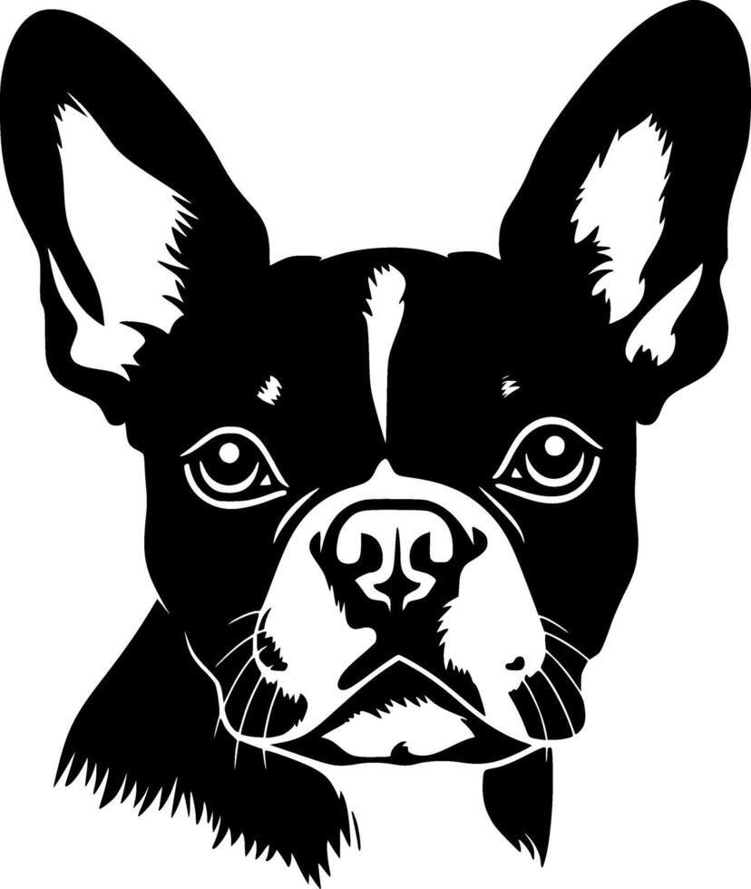 Boston Terrier, Black and White illustration vector