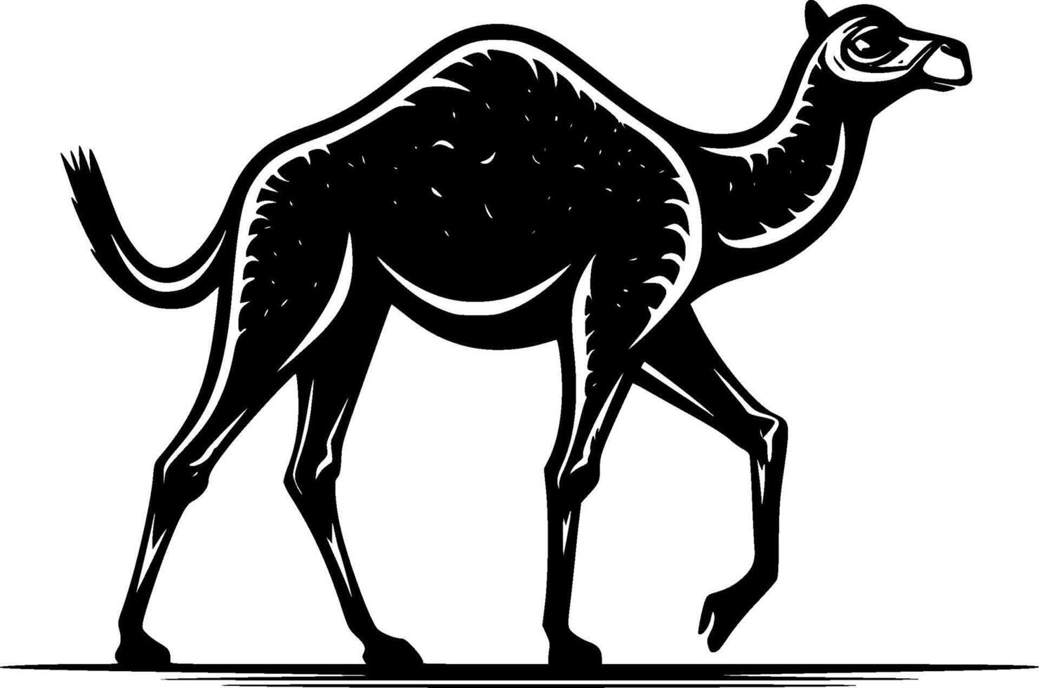 Camel, Black and White illustration vector