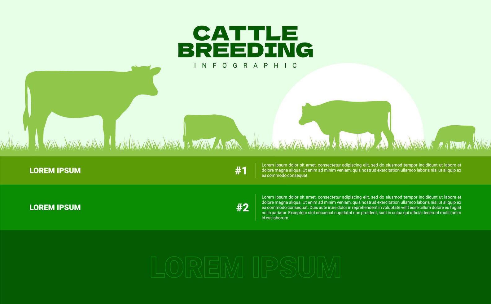 Cattle breeding infographic background flat design. illustration vector