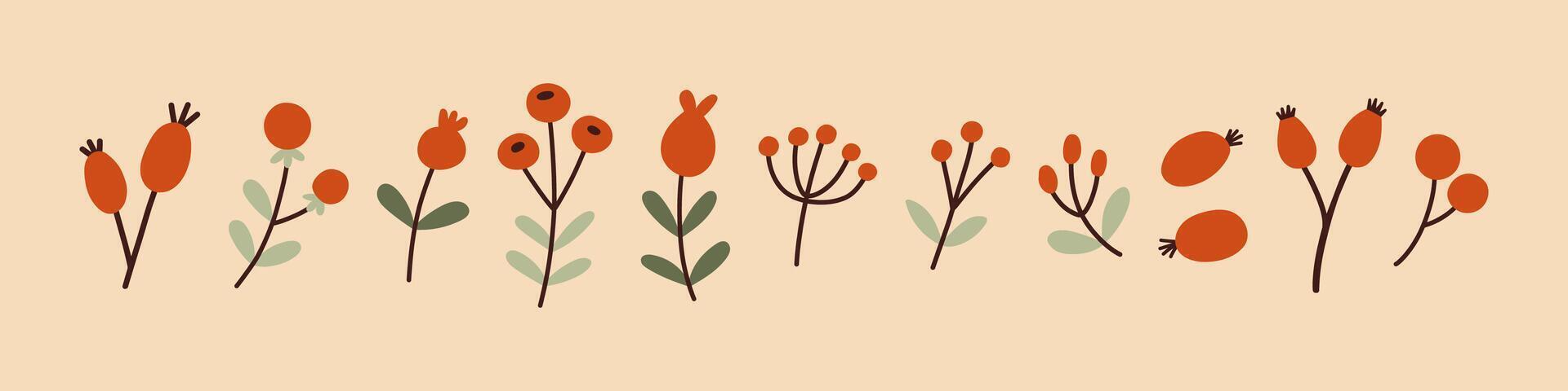 Simple branches, berries set. Autumn set of hand drawn cute cozy design elements. Fall, Thanksgiving Day, Autumn season. vector