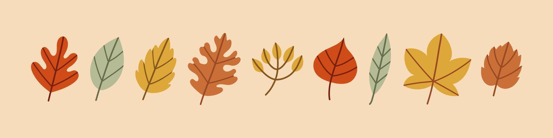 Simple leaf set. Autumn set of hand drawn cute and cozy design elements. Fall, Thanksgiving Day, Autumn season. vector