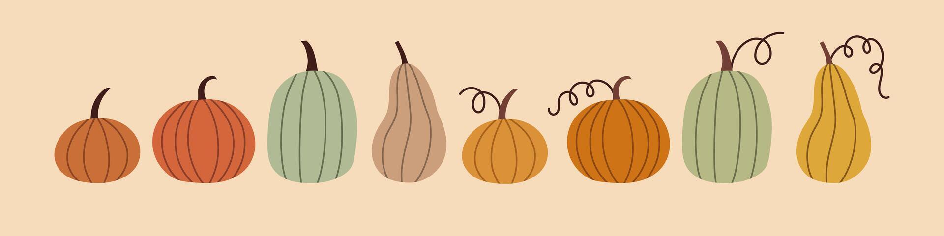 Simple pumpkin set. Autumn set of hand drawn cute and cozy design elements. Fall, Thanksgiving Day, Pumpkin season. vector
