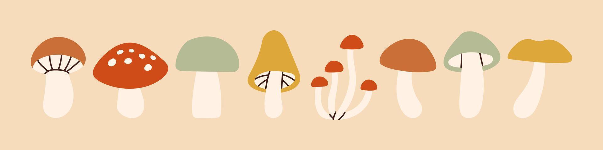 Simple mushroom set. Autumn set of hand drawn cute and cozy design elements. Fall, Thanksgiving Day, Autumn season. vector