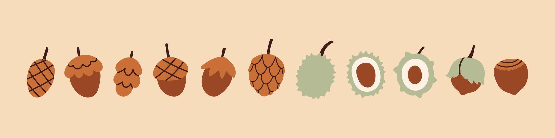 Simple cone, chestnut set. Autumn set of hand drawn cute cozy design elements. Fall, Thanksgiving Day, Autumn season. vector