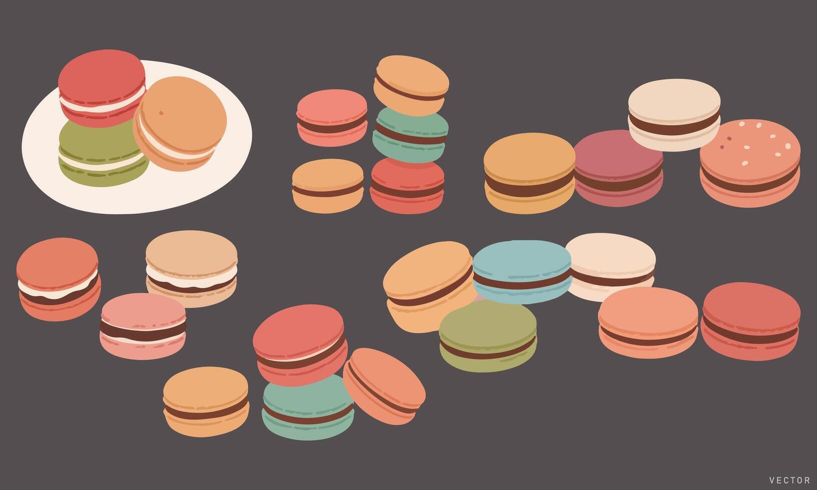 Close-Up French Macaron vector