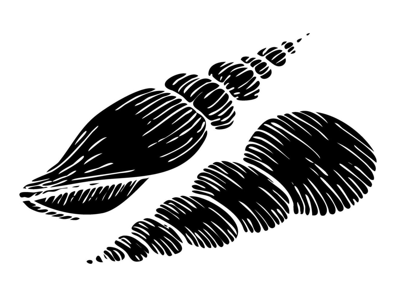 A set of seashell silhouette illustrations. Hand drawn maritime seashells sketch. Undersea seashells outline drawing. Design elements for icon, logo, seafood shop, menu. vector