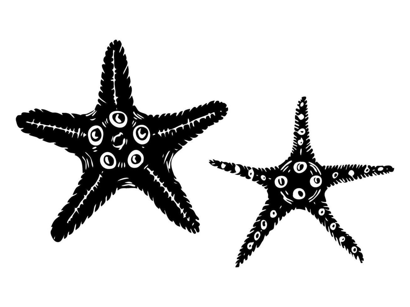 Starfish silhouette illustrations set. Hand drawn sketch of sea star. Undersea drawing of seashells. Isolated design elements in for icon, logo, seafood shop, menu. vector