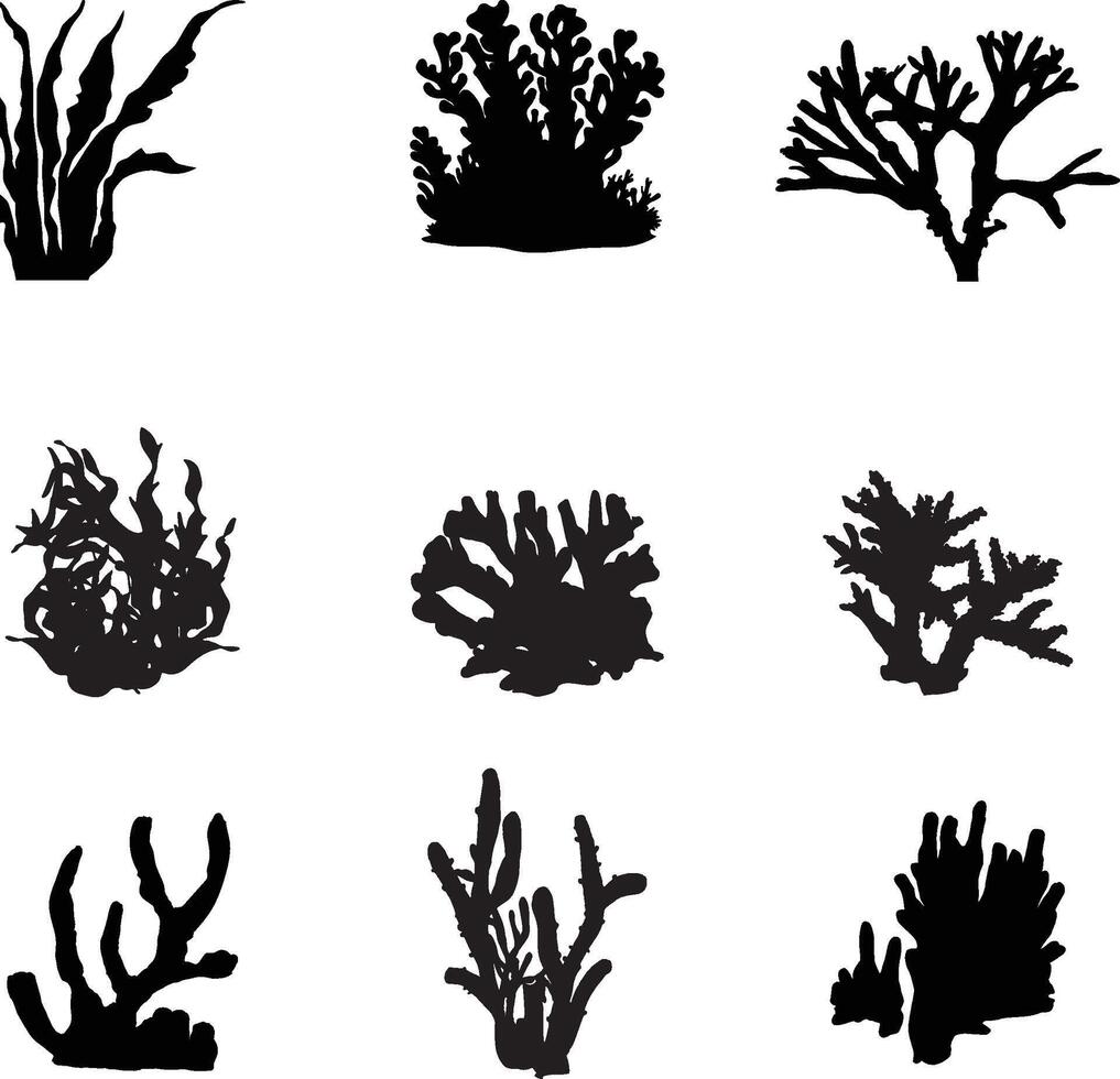 A collection of ocean plant silhouettes for artwork compositions vector