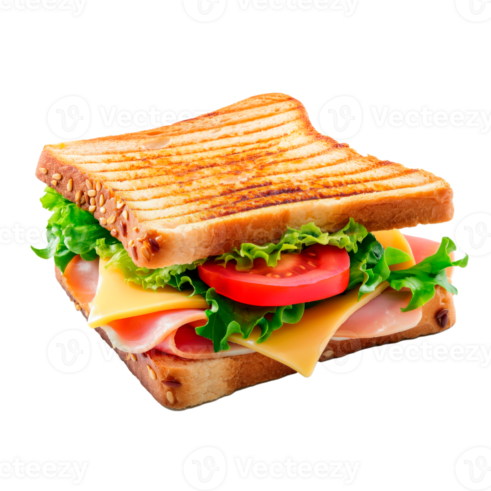 Delicious sandwich with background cutout. png