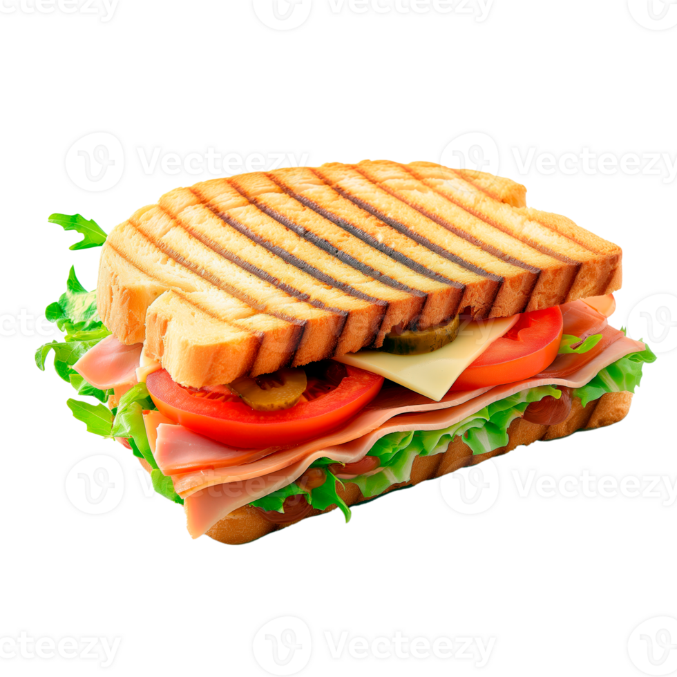 Delicious sandwich with background cutout. png