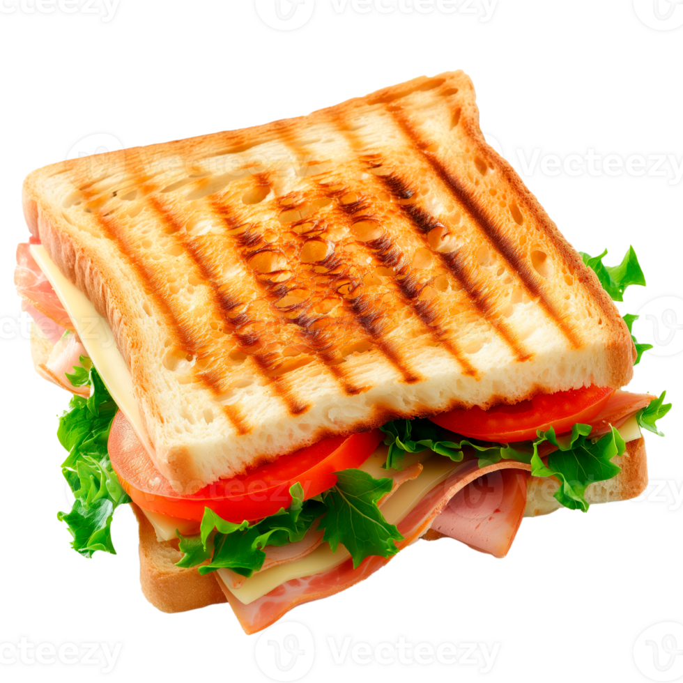Delicious sandwich with background cutout. png