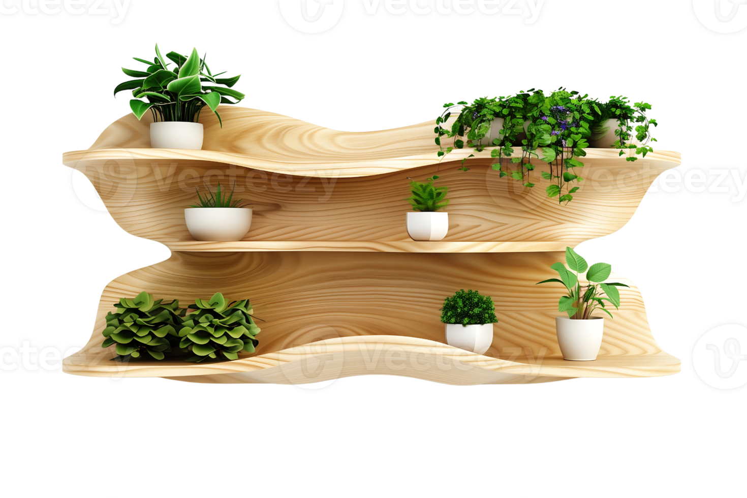wooden shelf with an undulating design features potted plants of varying sizes and styles isolated on transparent background png