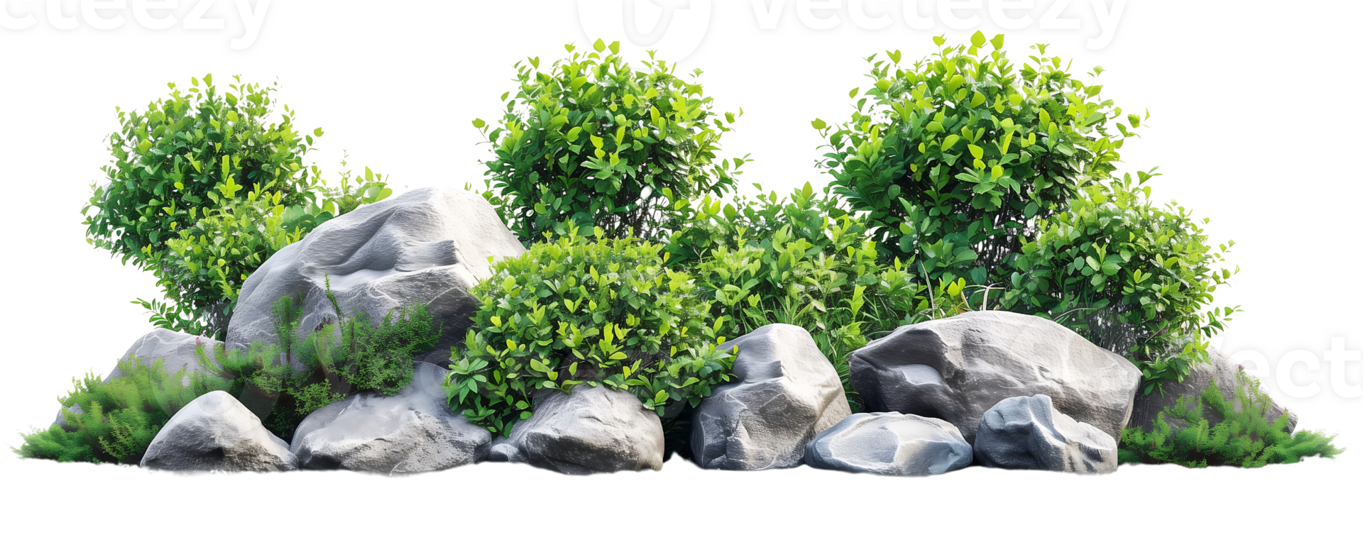 cluster of large rocks are surrounded by an abundance of verdant foliage isolated on transparent background png