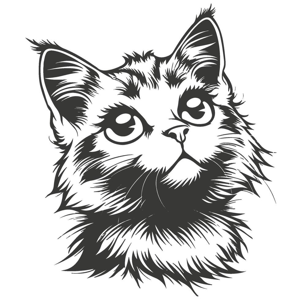 Black and white drawing of a cats head looking up , vector