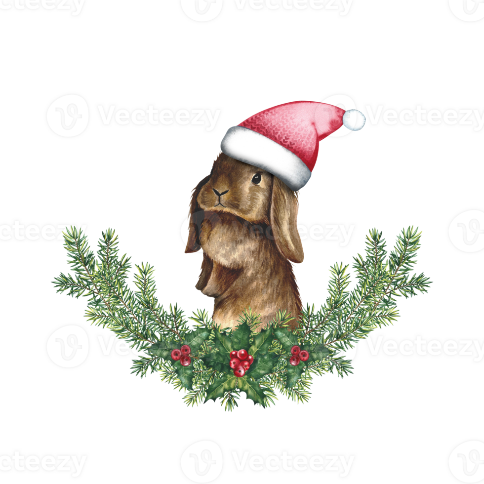 Christmas composition with a rabbit. Watercolor illustration. Rabbit in a Santa Claus hat on fir branches. png