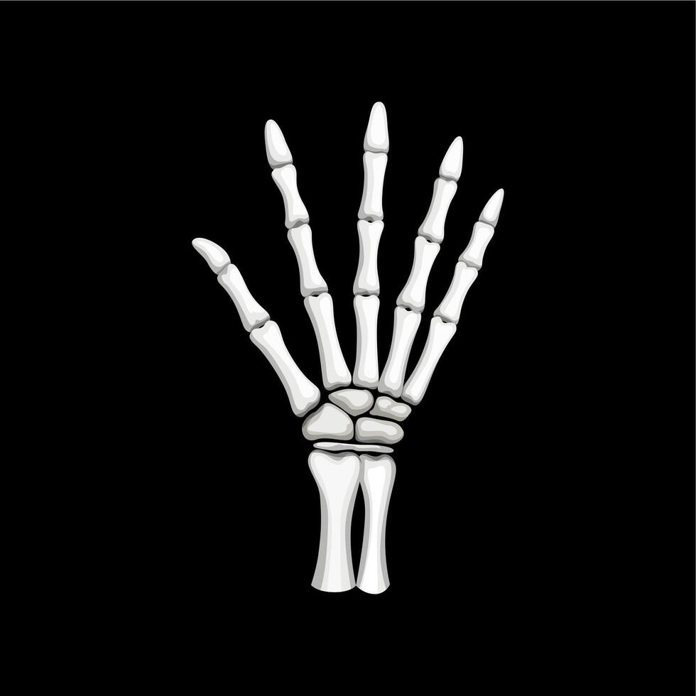 Skeleton hand gesture, isolated open palm vector