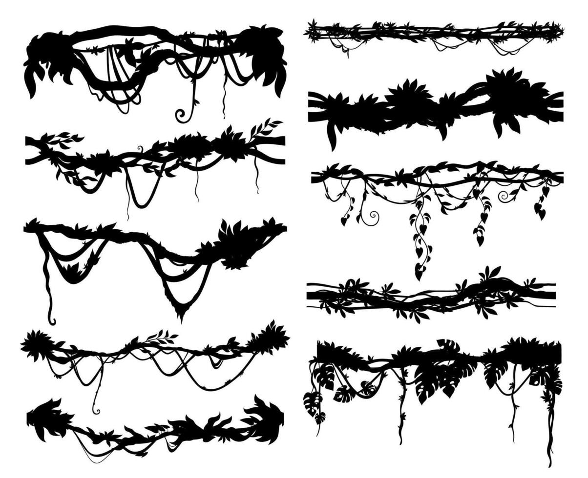 Jungle tropical liana branch and vine silhouettes vector