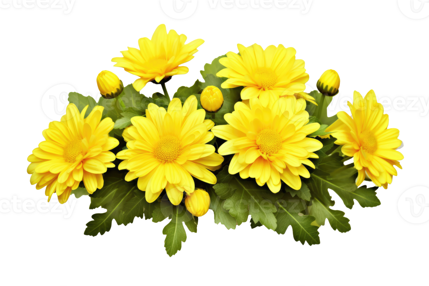 Yellow chrysanthemum flowers in a floral arrangement isolated on white or transparent background, png